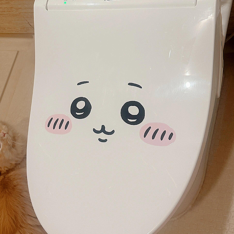 Pegatina de emoticonos Jiyi pa - Photography Anime reseña y precio
